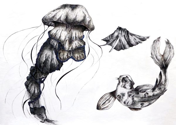 Involutie