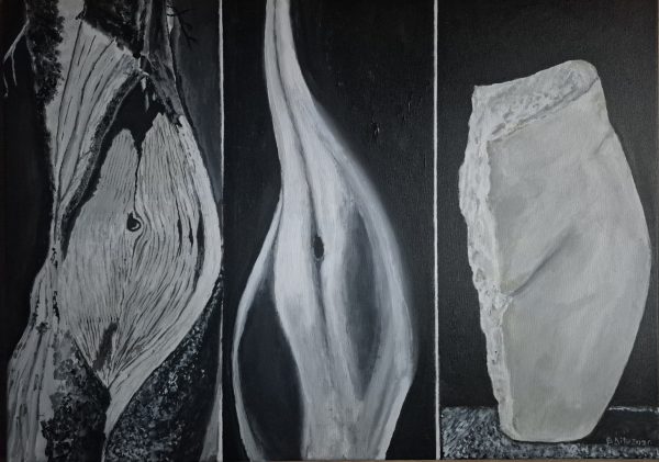 METAMORFOZA